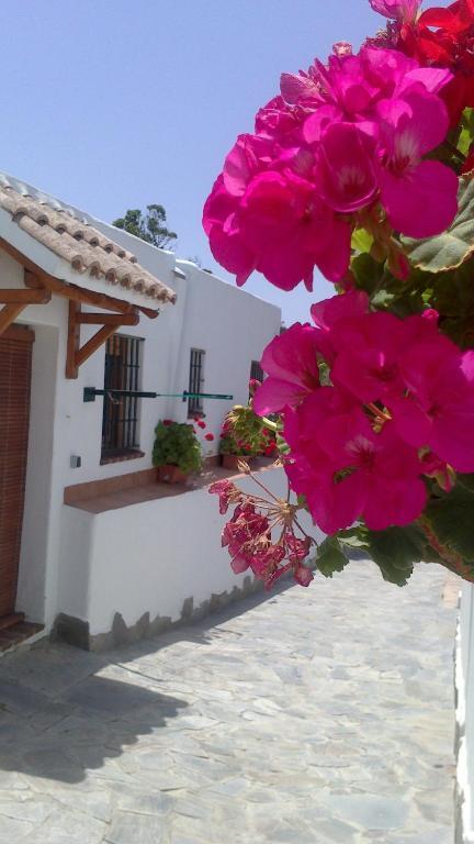 Casas El Molino Vila Vejer de la Frontera Quarto foto